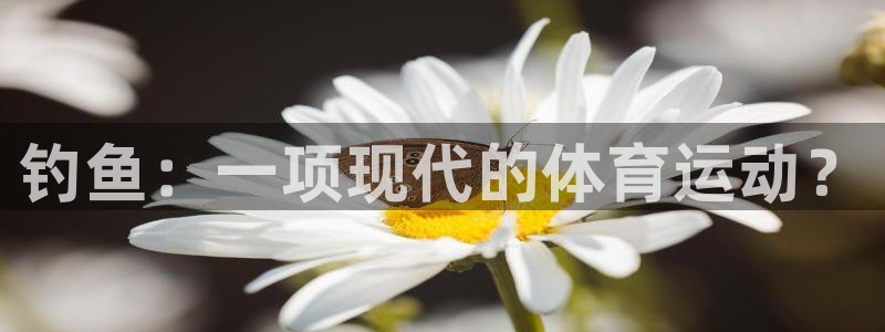 必一运动app：钓鱼：一项现代的体育运动？