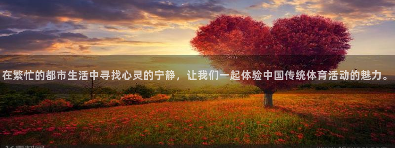 必一运动体育官网：在繁忙的都市生活中寻找心灵的宁静，让我们一起体验中国传统体育活动的魅力。