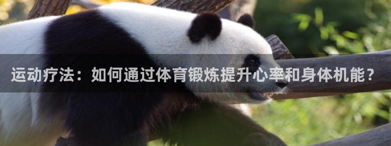 bsport必一运动：运动疗法：如何通过体育锻炼提升心率和身体机能？