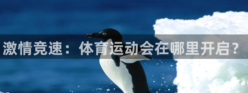 bsport必一运动：激情竞速：体育运动会在哪里开启？