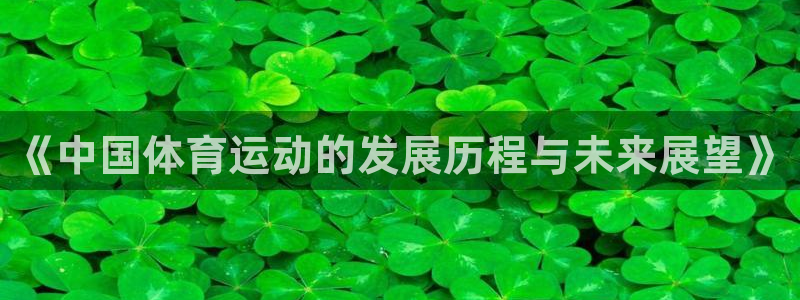 bsports官网 必一运动：《中国体育运动的发展历程与未来展望》