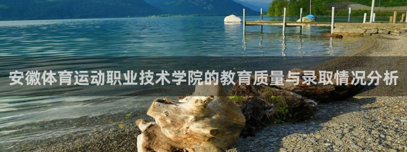 必一运动体育：安徽体育运动职业技术学院的教育质量与录取情况分析