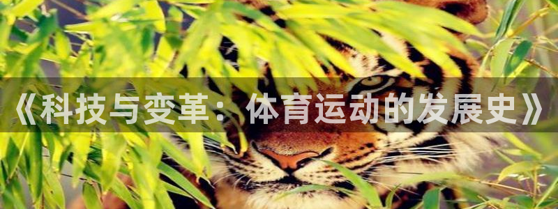 必一运动体育官网入口：《科技与变革：体育运动的发展史》
