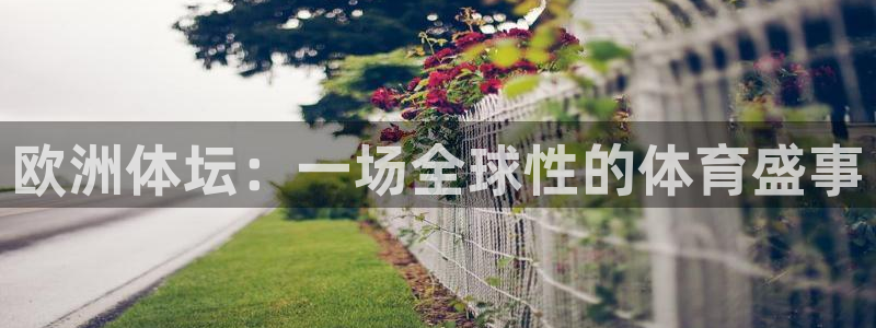 必一运动：欧洲体坛：一场全球性的体育盛事