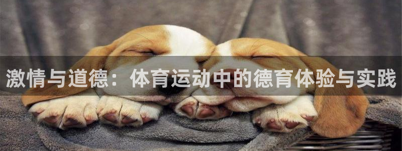 必一运动bsport体育：激情与道德：体育运动中的德育体验与实践