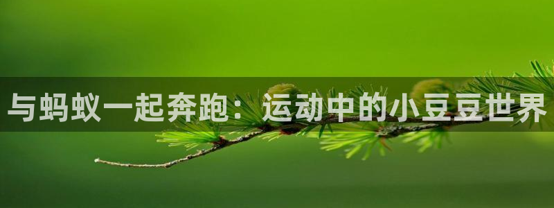 bsports必一运动：与蚂蚁一起奔跑：运动中的小豆豆世界